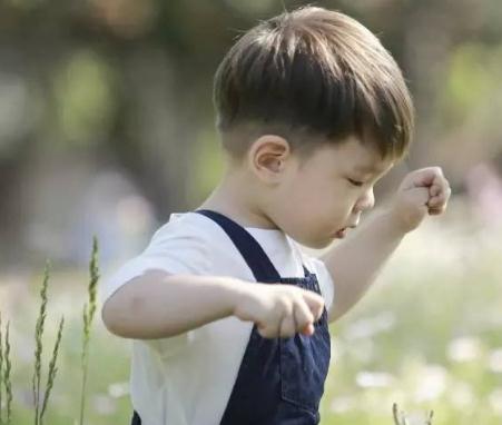 明星家孩子有趣的名字 