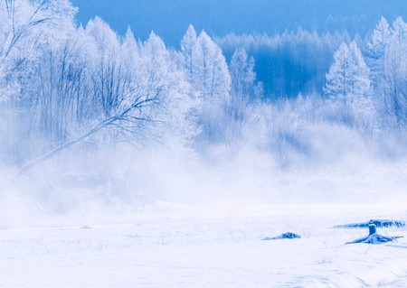 大雪出生的女孩名字 