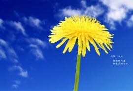 取个心态好的正能量的微信名 