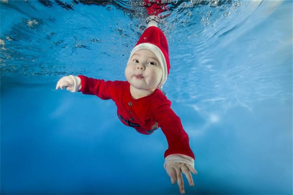 名字起梧桐的寓意 