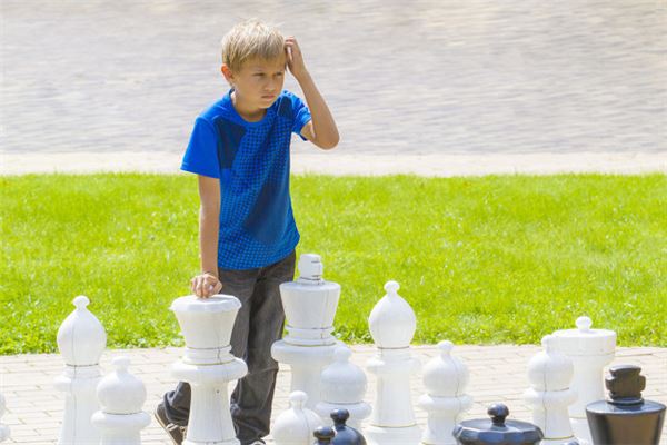 阳字五行属什么的意思 