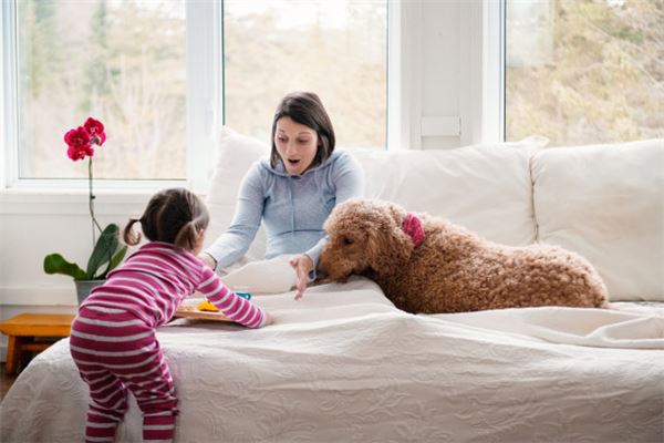 霜字在名字中的寓意 