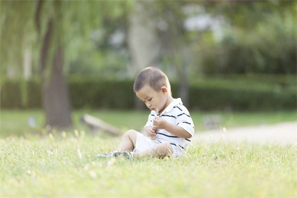 属木的字有哪些字适合取名 