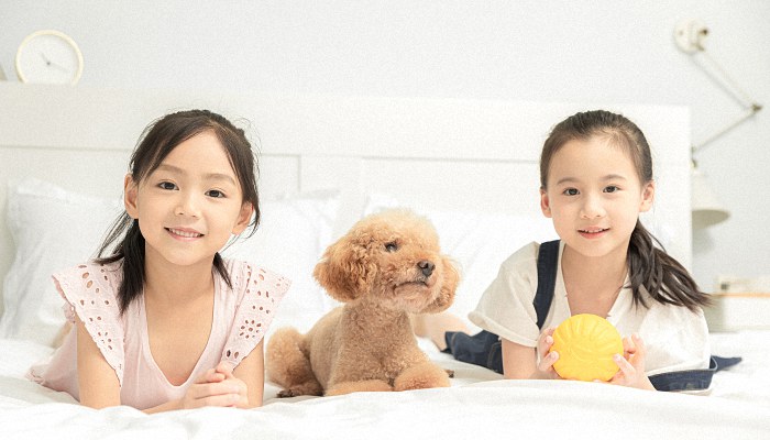 向姓宝宝古诗词起名 古诗词取名好听的向姓宝宝