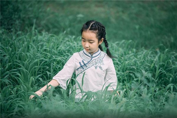 杨姓起名注意事项 