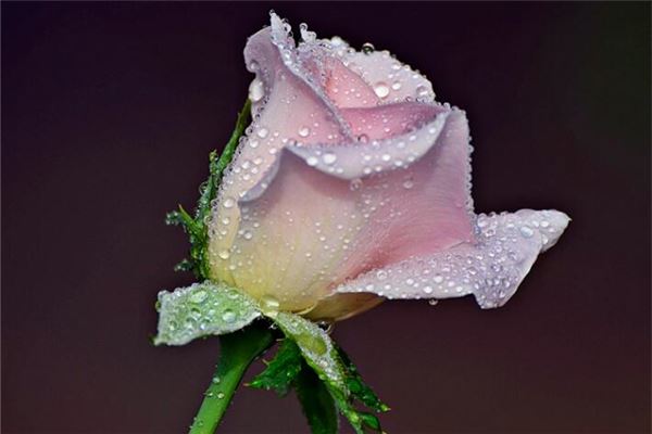 是不是只有户口上名字改了才叫改名 