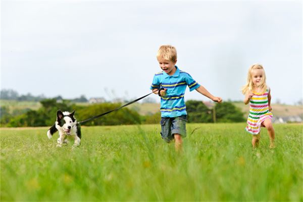 五行属金的是有什么含义呢？比较适合取什么样子的名字呢？ 