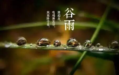 二十四节气谷雨的古诗 二十四节气谷雨的古诗有哪些 