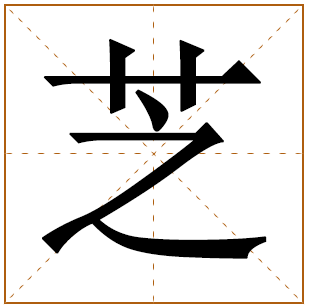 带有芝字的女孩名字 