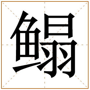 鳎字五行属什么 鳎字在康熙字典里多少画 