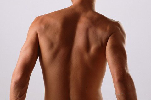 梦见脊椎 背脊 脊柱