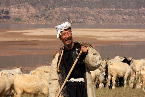 梦见牧羊人 放羊人