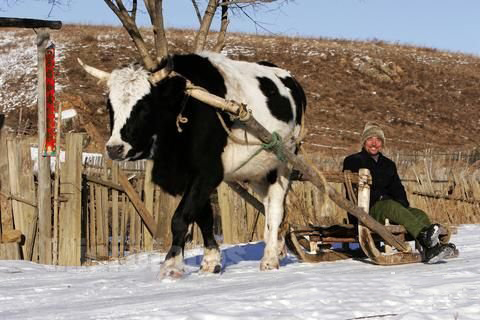 孔子圣签第21签解签 日月潭文武庙孔子圣签 第二十一签