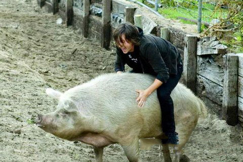 城隍爷灵签第8签解签 城隍爷灵签 第八首 姜邓斗阵 中签