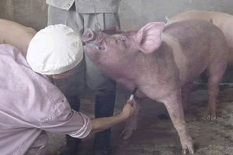 城隍爷灵签第11签解签 城隍爷灵签 第十一首 目莲救母 上签