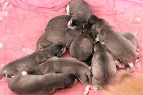 城隍爷灵签第25签解签 城隍爷灵签 第廿五首 董永遇仙女 中签