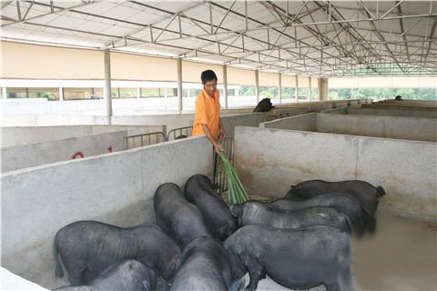 财神爷灵签第2签解签 财神爷灵签 第二首 甲寅 唐太宗选武氏为才人