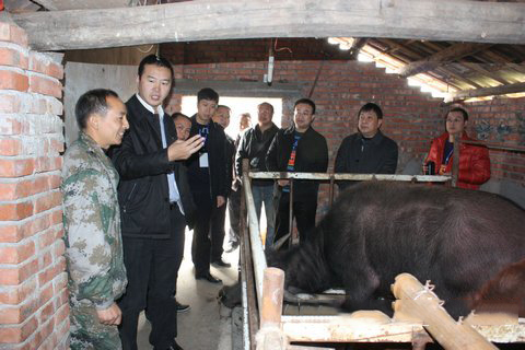 财神爷灵签第45签解签 财神爷灵签 第四十五首 辛巳 董永丰都送子