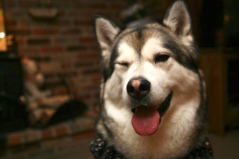 财神爷灵签第54签解签 财神爷灵签 第五十四首 壬戍 郭华买胭脂