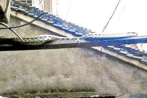 财神爷灵签第58签解签 财神爷灵签 第五十八首 癸未 汉高祖斩白蛇