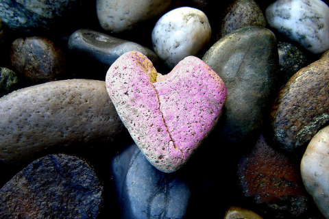 梦见用石头打乌龟