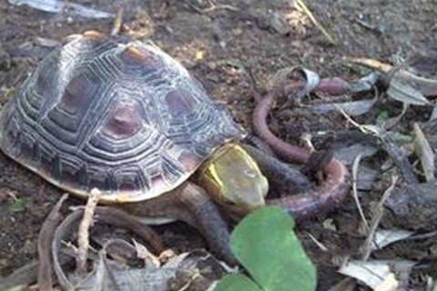 诸葛神签第五十九签 诸葛灵签解签59