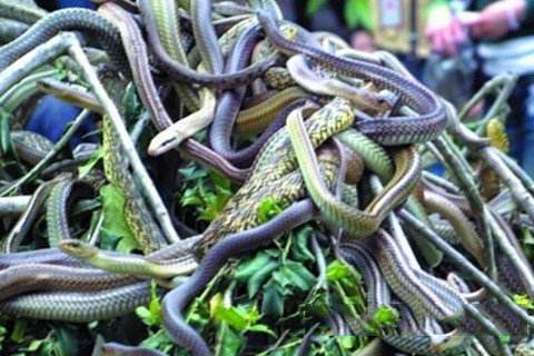 诸葛神签第八十签 诸葛灵签解签80