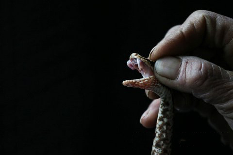 诸葛神签第八十一签 诸葛灵签解签81