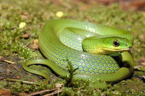 诸葛神签第一百签 诸葛灵签解签100