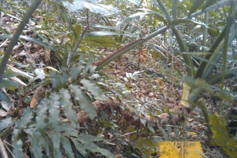 保生大帝第二十八签 保生灵签解签28