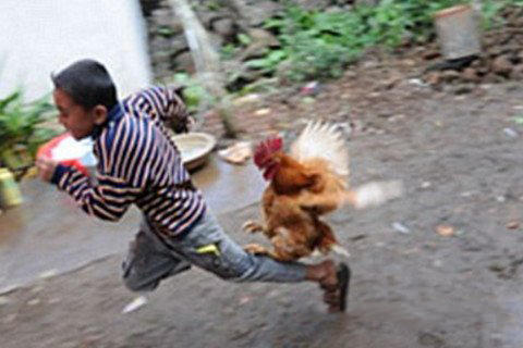 清水祖师灵签第十三签 清水祖师灵签第13签解签