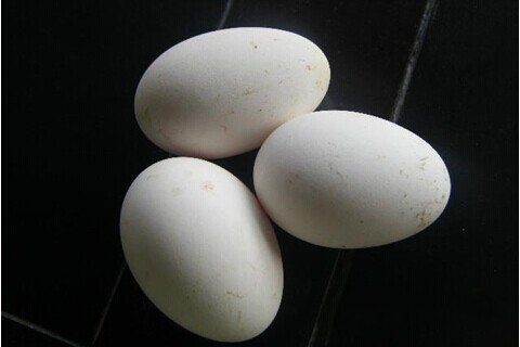 清水祖师灵签第四十四签 清水祖师灵签第44签解签