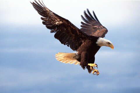 清水祖师灵签第四十七签 清水祖师灵签第47签解签