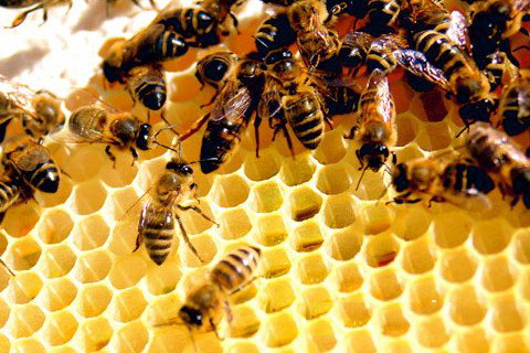 四圣真君灵签第38签解签 四圣真君灵签 第三十八签 中平 因穷