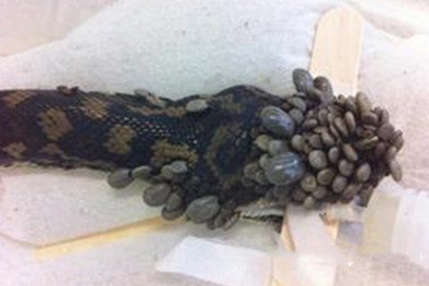 四圣真君灵签第47签解签 四圣真君灵签 第四十七签 大吉