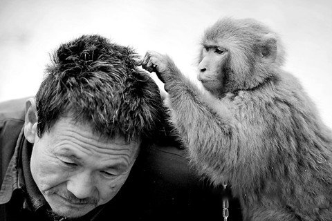 梦见自己身上有虱子