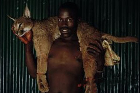 梦见已死的猎物