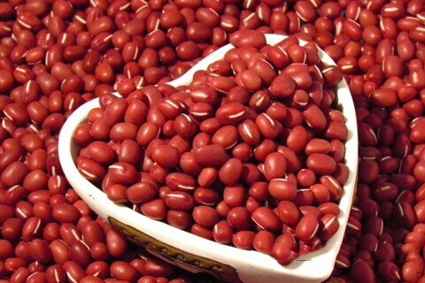 每日一签 观音灵签第24签解签