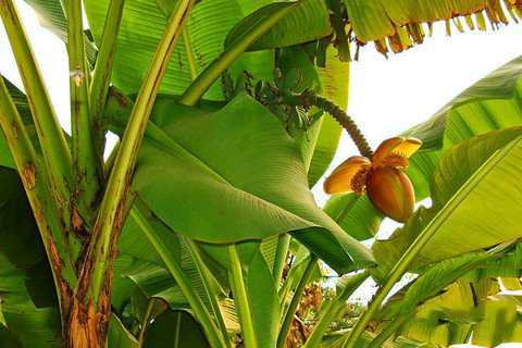 每日一签 观音灵签第23签解签