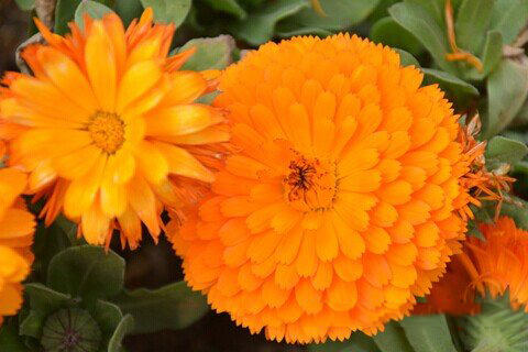 妈祖灵签第92签解签 拱天宫妈祖灵签 第九十二签