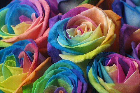 妈祖灵签第95签解签 拱天宫妈祖灵签 第九十五签