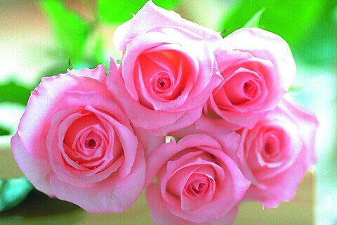 妈祖灵签第97签解签 拱天宫妈祖灵签 第九十七签