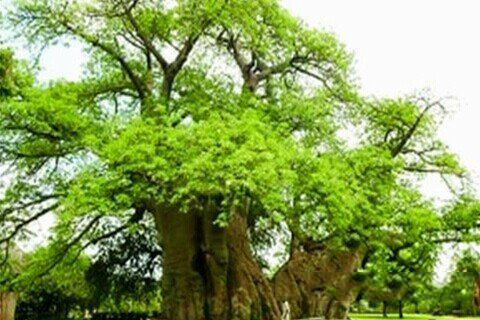 关公灵签第95签解签 关公灵签第九十五签：张文远求官