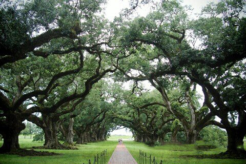 关公灵签第98签解签 关公灵签第九十八签：薛仁贵投军