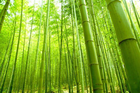 关公灵签第100签解签 关公灵签第一百签：唐明宗祷告天