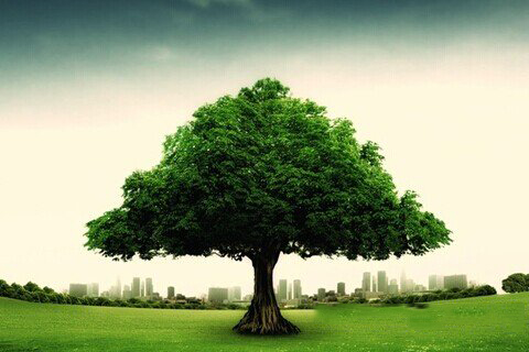 关公灵签第99签解签 关公灵签第九十九签：百里奚投秦