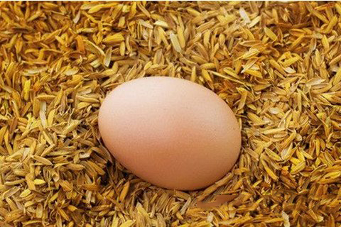 文殊菩萨灵签第95签解签 文殊菩萨灵签第九十五签 下签