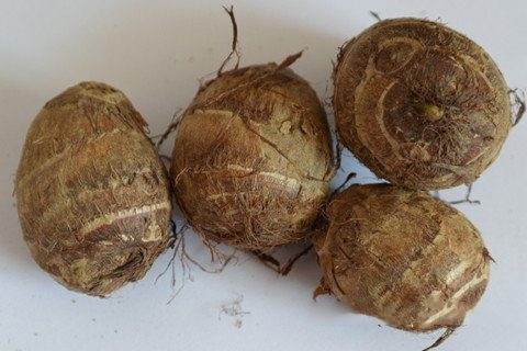 文殊菩萨灵签第97签解签 文殊菩萨灵签第九十七签 中签