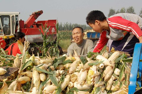 文殊菩萨灵签第100签解签 文殊菩萨灵签第一百签 上签