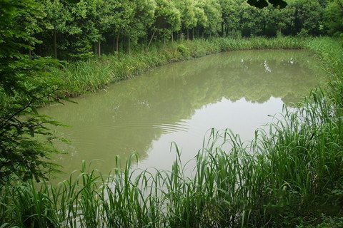 地藏王菩萨灵签第56签解签 地藏王菩萨灵签 第五十六签 己未